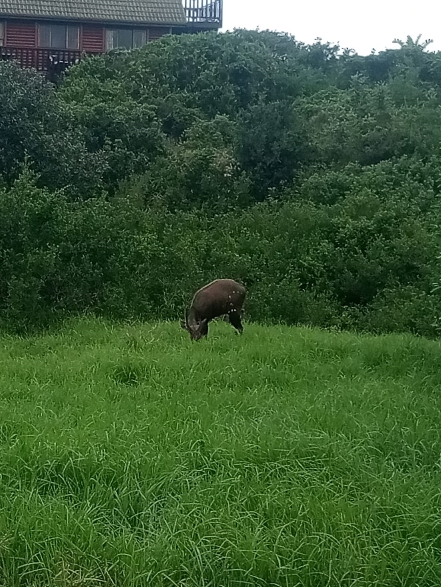 0 Bedroom Property for Sale in Paradise Beach Eastern Cape